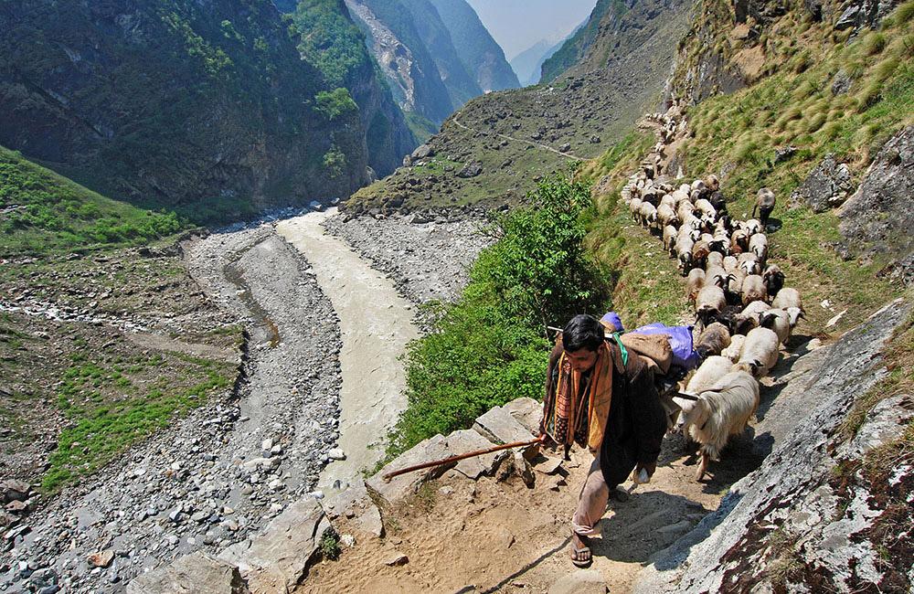 Milam Glacier Trek