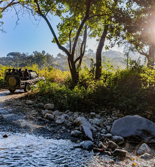 overlanding in the sun